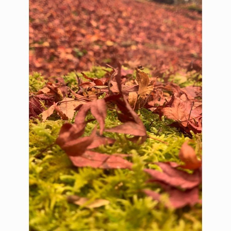 KEITA8OKUNOの画像