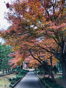 栃木県中央公園