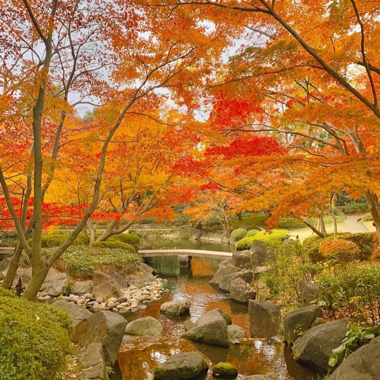 mgmさんが投稿した大田黒公園に関する口コミの画像