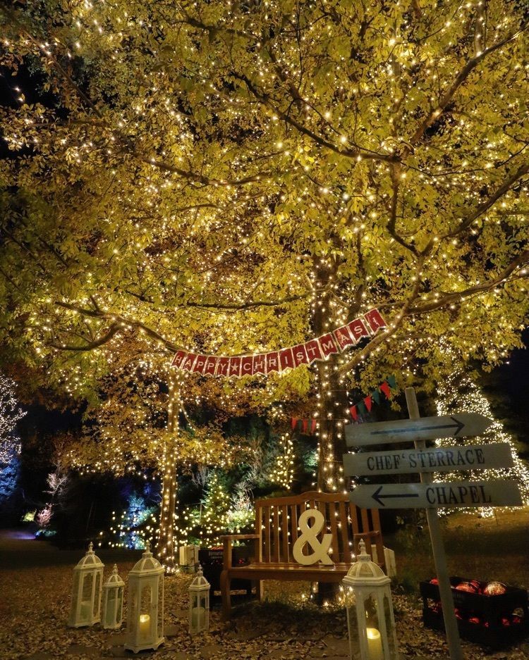 あっけの画像