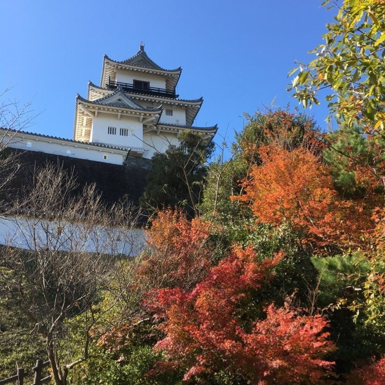 tomotomoさんが投稿した掛川城御殿に関する口コミの画像
