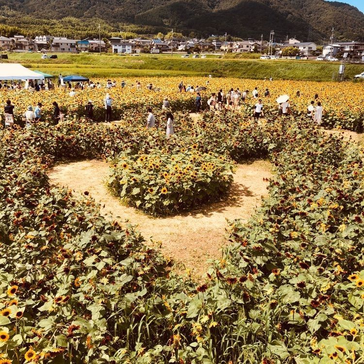 前サルさんが投稿した画像の画像