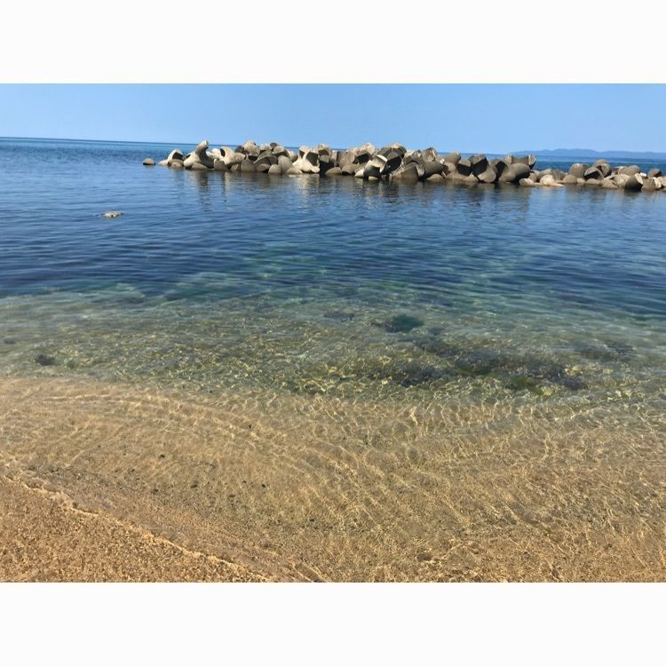 Narita.Yさんが投稿した村上市に関する口コミの画像