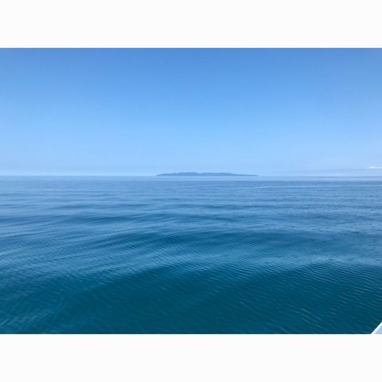Narita.Yさんが投稿した村上市に関する口コミの画像
