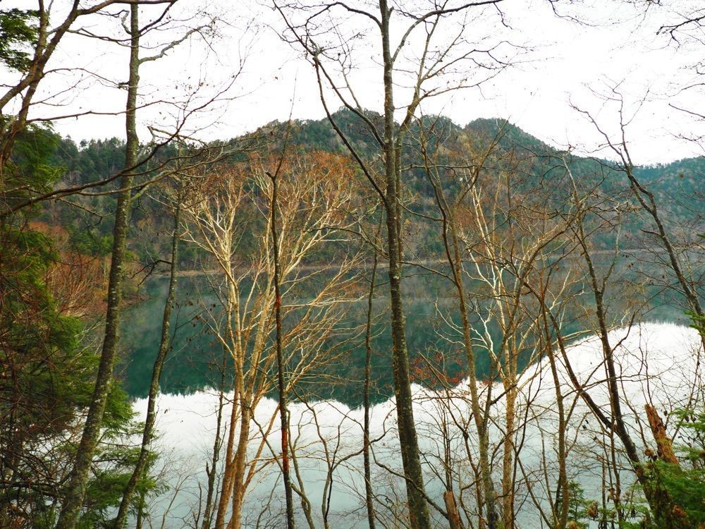 Shoさんが投稿した湯の湖荘に関する口コミの画像