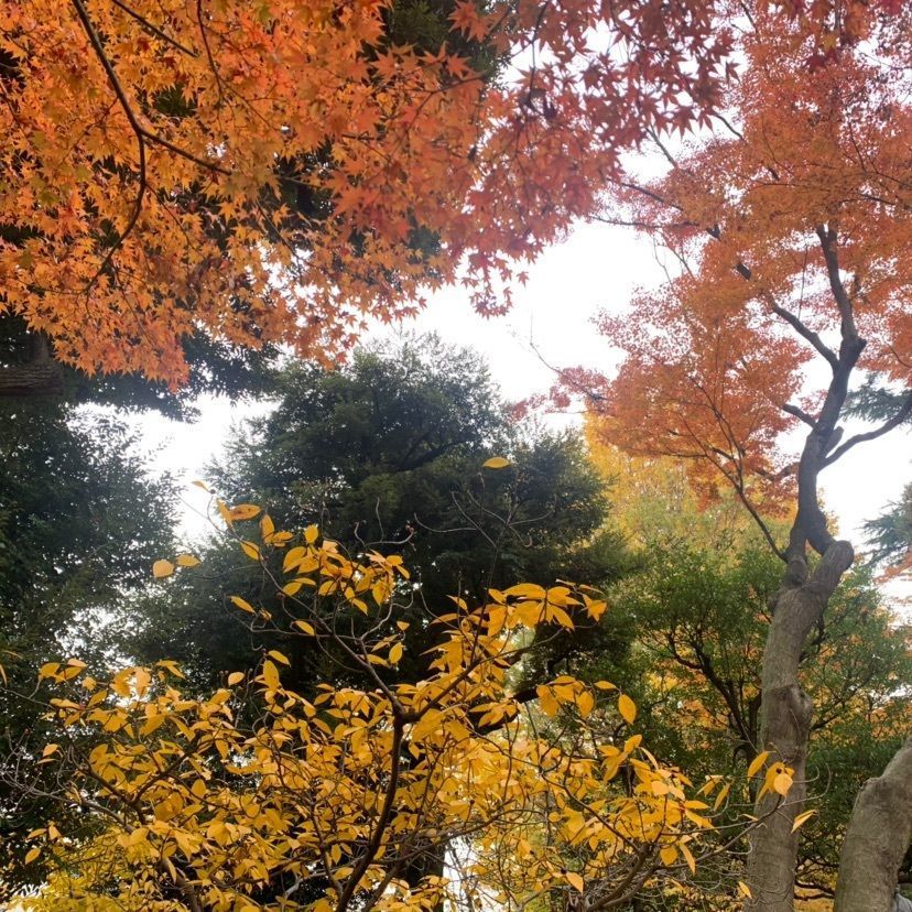odeka-Kさんが投稿した高橋是清翁記念公園に関する口コミの画像
