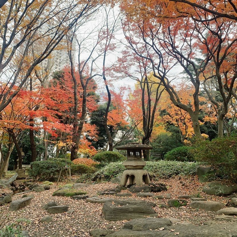 odeka-Kさんが投稿した高橋是清翁記念公園に関する口コミの画像