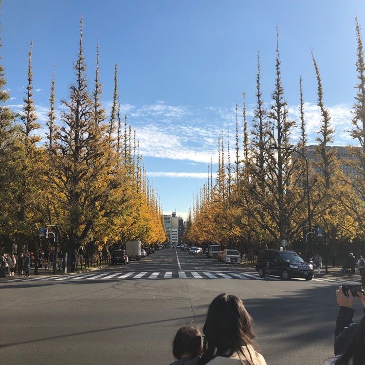 nori_orenoさんが投稿した神宮外苑 いちょう並木に関する口コミの画像