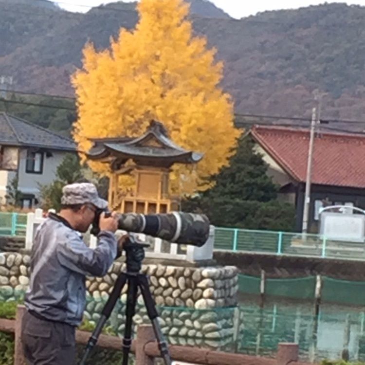 Annashuna0830さんが投稿したおがせ池に関する口コミの画像
