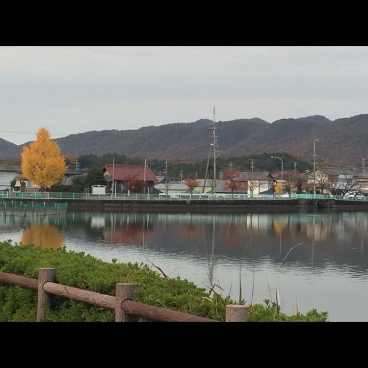 Annashuna0830さんが投稿したおがせ池に関する口コミの画像