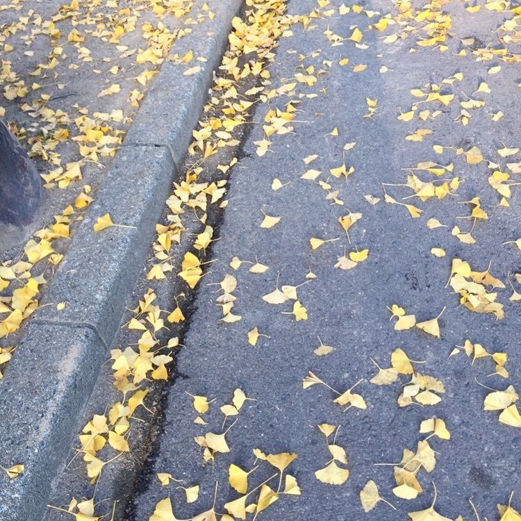 Annashuna0830さんが投稿したおがせ池に関する口コミの画像