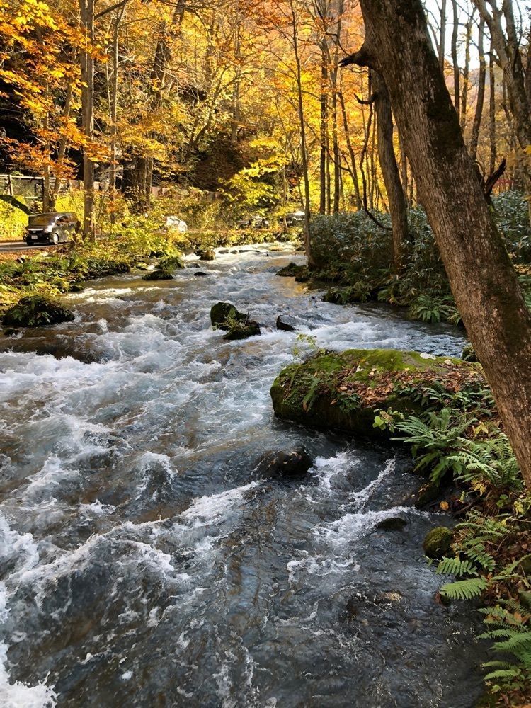 cicaさんが投稿した奥入瀬渓流の紅葉に関する口コミの画像