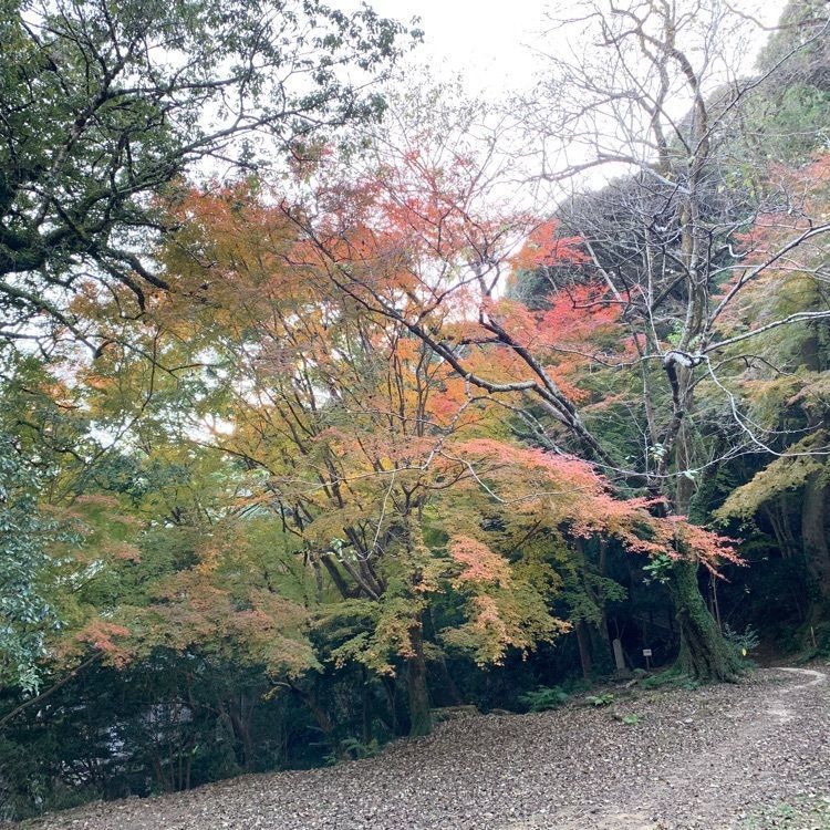 formal_cafeteria_8688さんが投稿した佐伯城跡に関する口コミの画像