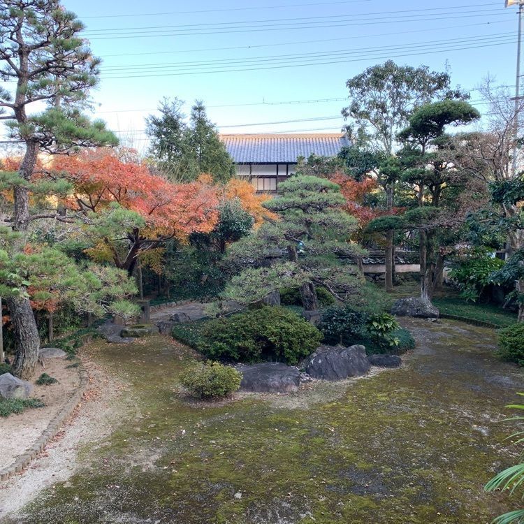 formal_cafeteria_8688さんが投稿した城下町佐伯国木田独歩館に関する口コミの画像