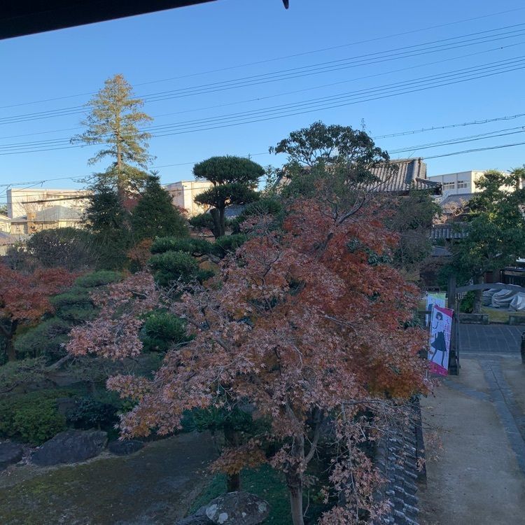 formal_cafeteria_8688さんが投稿した城下町佐伯国木田独歩館に関する口コミの画像