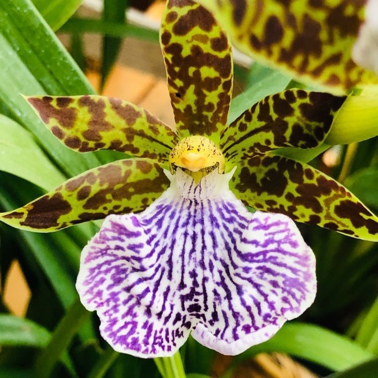 wonderfulさんが投稿した茨城県植物園に関する口コミの画像