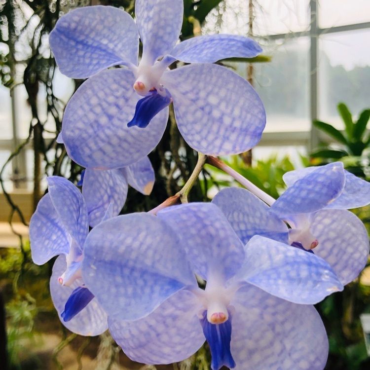 wonderfulさんが投稿した茨城県植物園に関する口コミの画像
