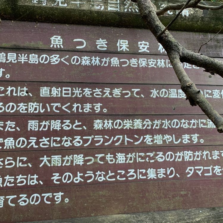 formal_cafeteria_8688さんが投稿した間越海岸に関する口コミの画像