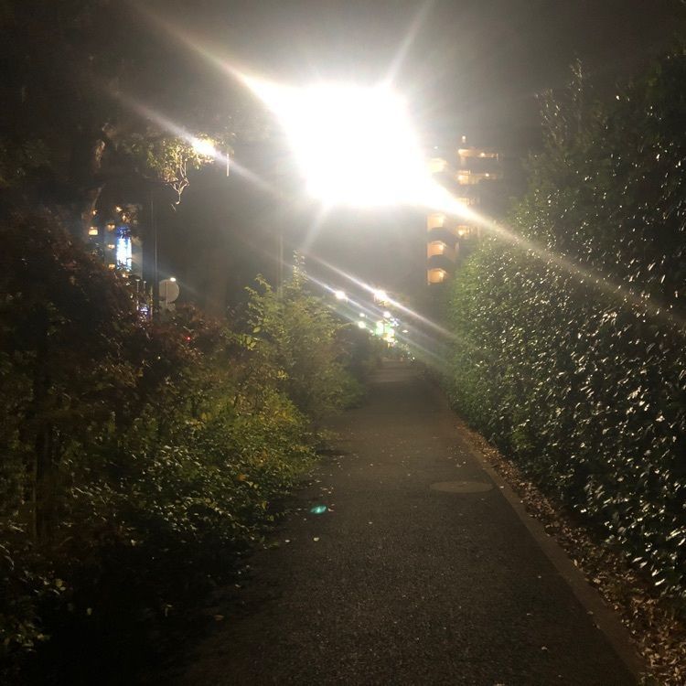 タッキーさんが投稿したデニーズ 千歳船橋店（Denny's）に関する口コミの画像