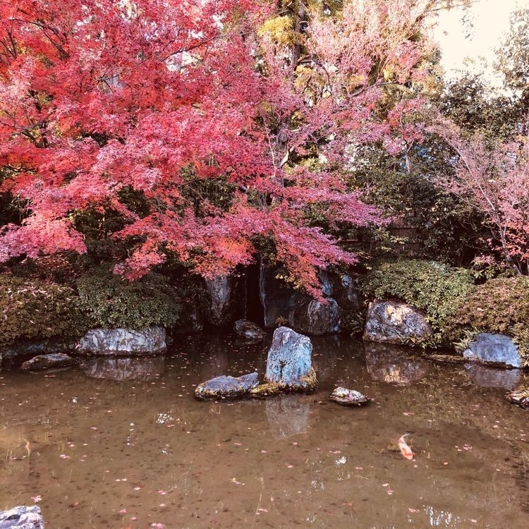 前サルさんが投稿した画像の画像