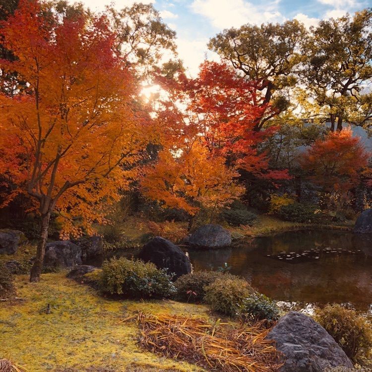 前サルさんが投稿した画像の画像