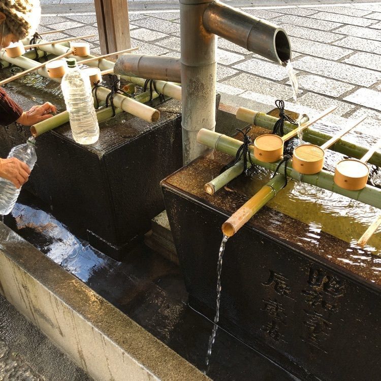 前サルさんが投稿した画像の画像
