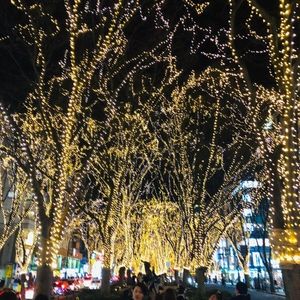 2019 SENDAI 光のページェント