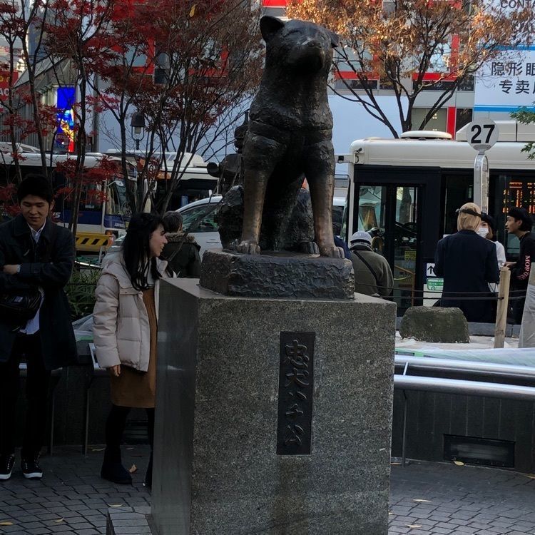 cool_pocket_259eさんが投稿した木村家本店（きむらやほんてん）に関する口コミの画像