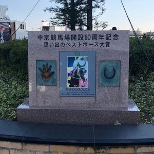 中京競馬場 3枚目