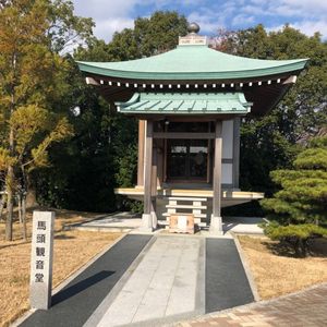 中京競馬場 5枚目