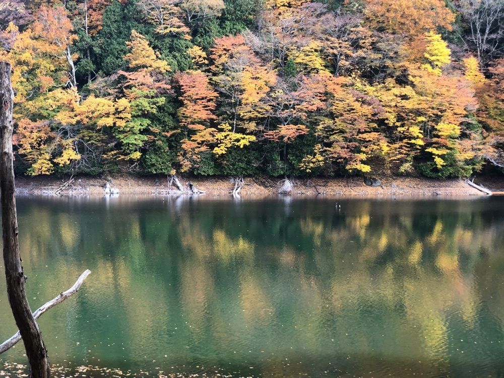 jun1216さんが投稿した十二湖に関する口コミの画像