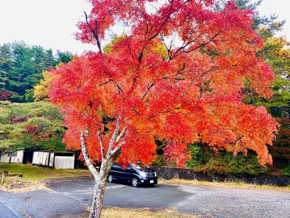 あーちゃんさんが投稿した中津峡に関する口コミの画像