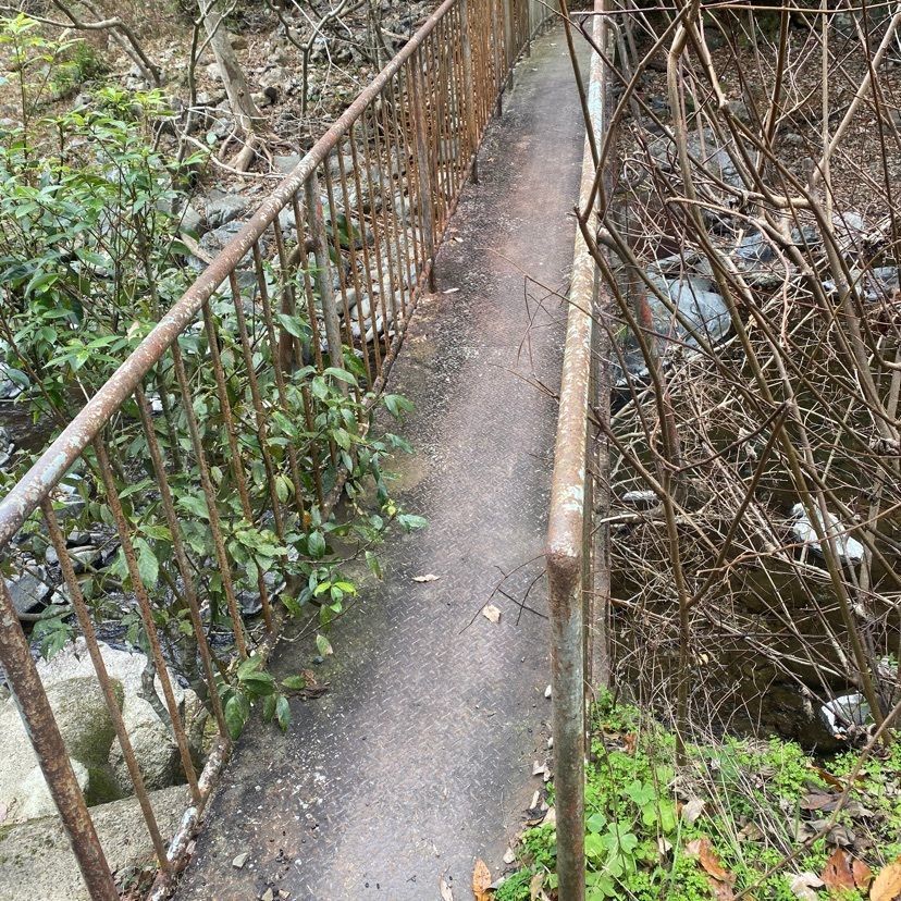 tsytさんが投稿した多度峡に関する口コミの画像