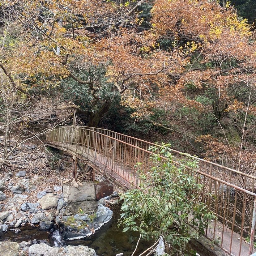 tsytさんが投稿した多度峡に関する口コミの画像