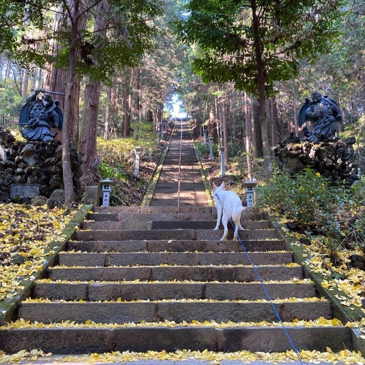 wonderful_street_830dさんが投稿した道了尊売店に関する口コミの画像