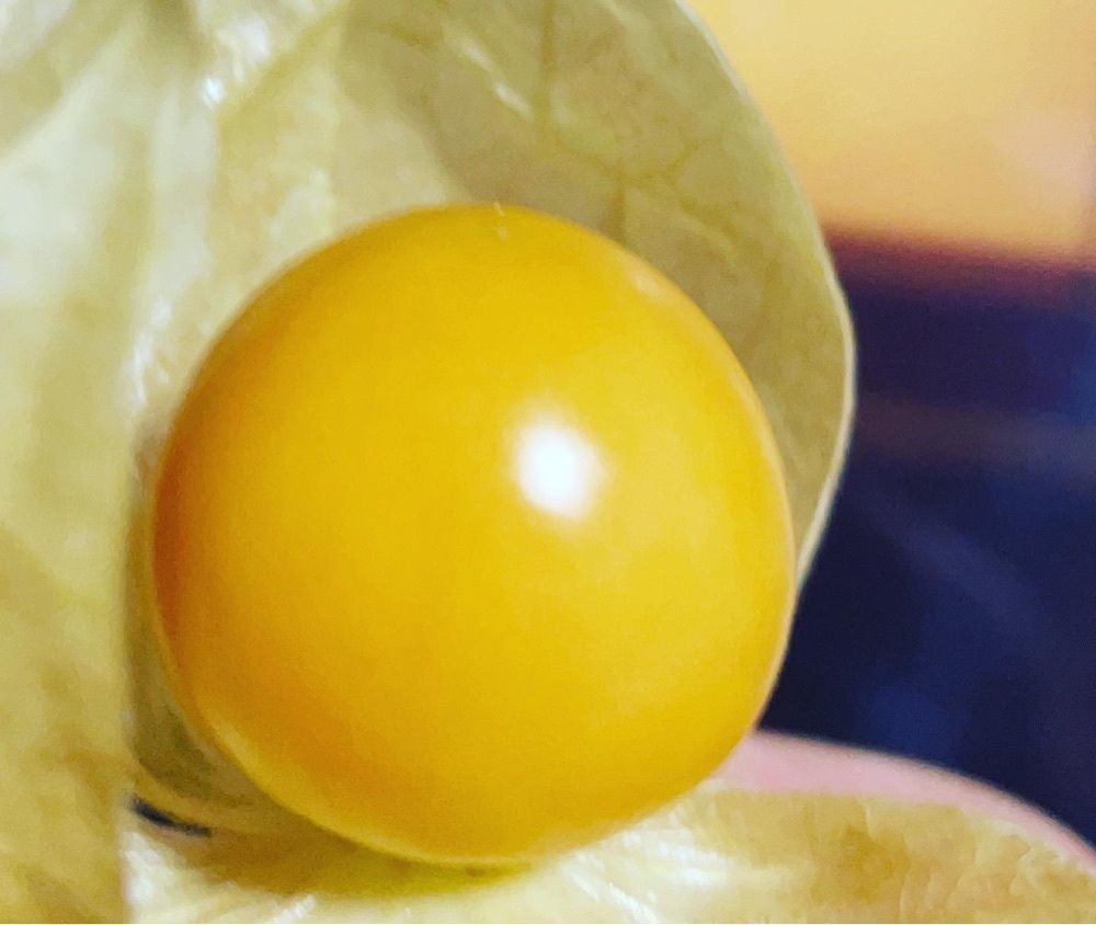 kimunii さんが投稿したAコープ とれたて元気市に関する口コミの画像