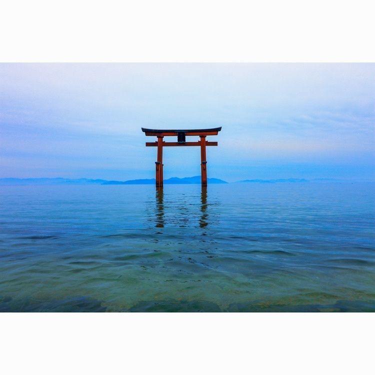 kafeさんが投稿した白髭神社に関する口コミの画像