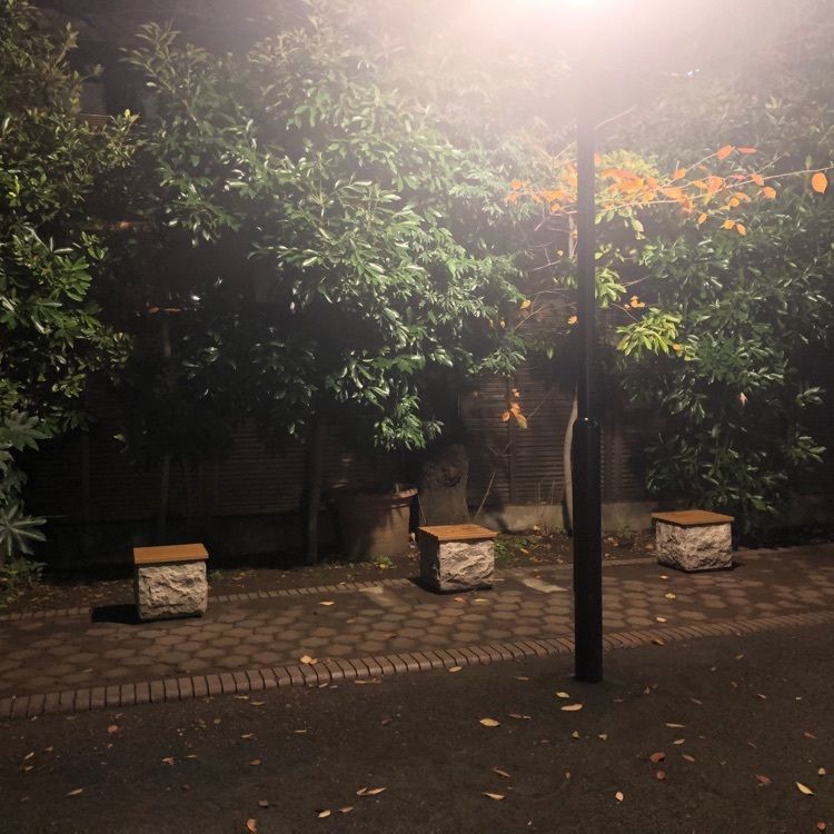 タッキーさんが投稿した三河台公園に関する口コミの画像
