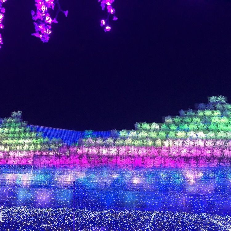 Mitsuさんが投稿した画像の画像