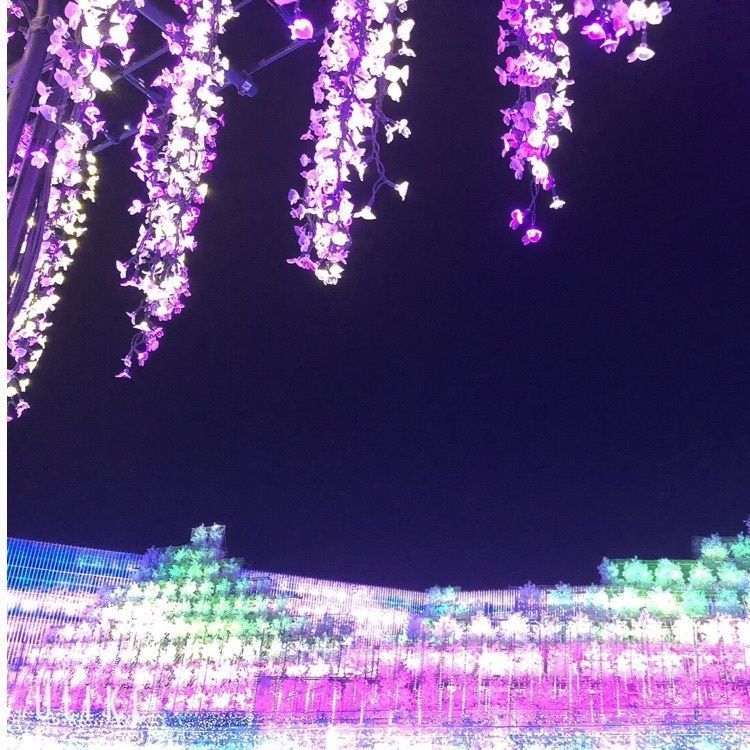 Mitsuさんが投稿した画像の画像