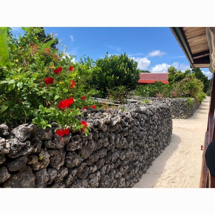 rina310さんが投稿した竹富島に関する口コミの画像