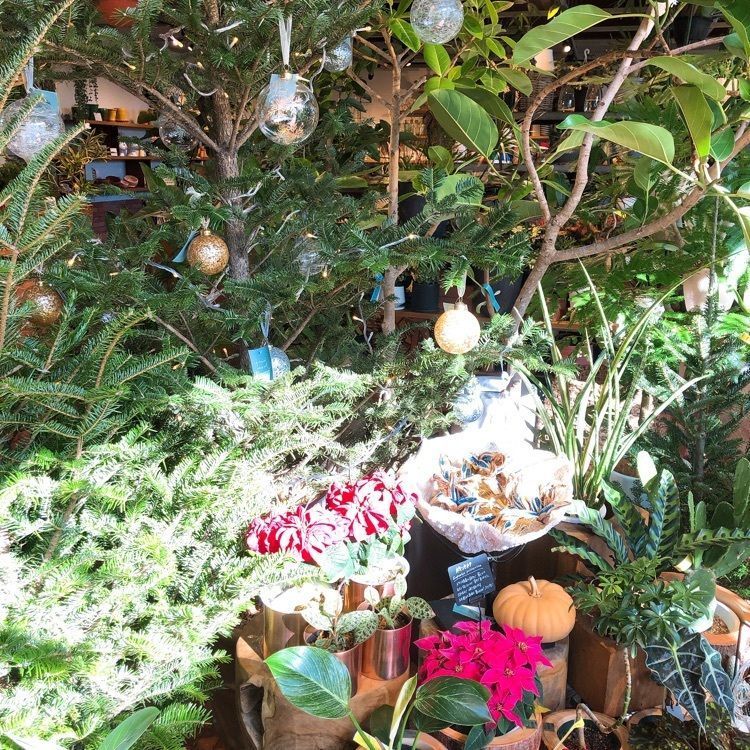 前サルさんが投稿したGREEN'S FARMSに関する口コミの画像