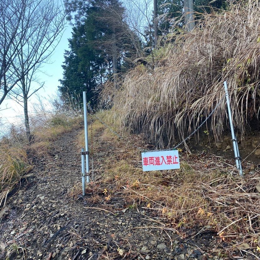 RIMさんが投稿した白鳥山（山梨百名山）に関する口コミの画像