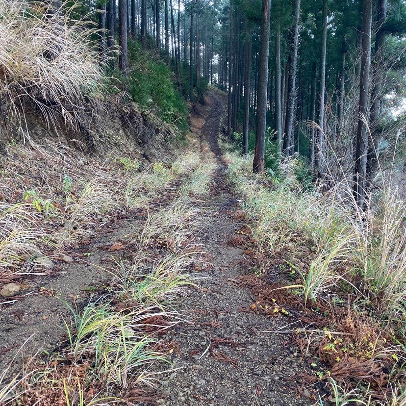 RIMさんが投稿した白鳥山（山梨百名山）に関する口コミの画像