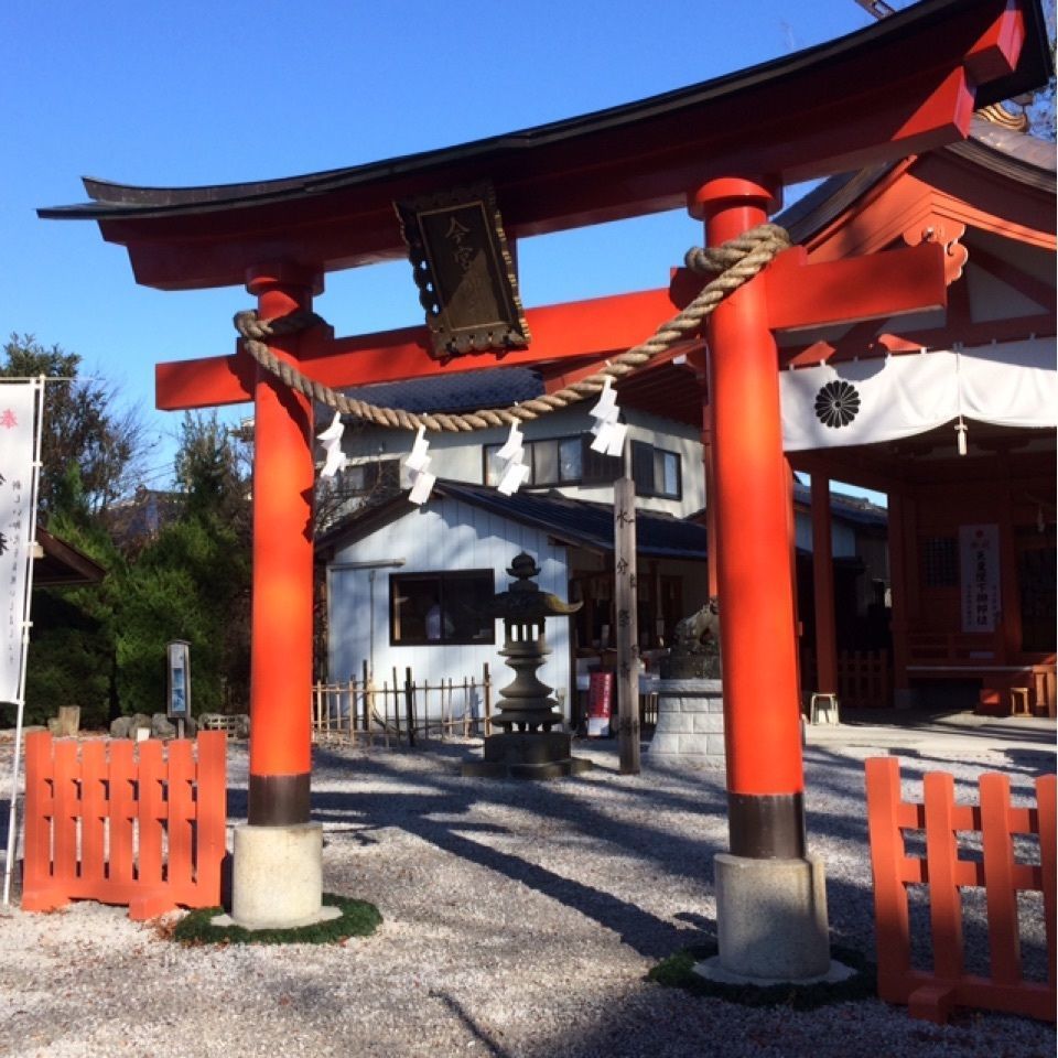 reo0318さんが投稿した駒つなぎのケヤキに関する口コミの画像