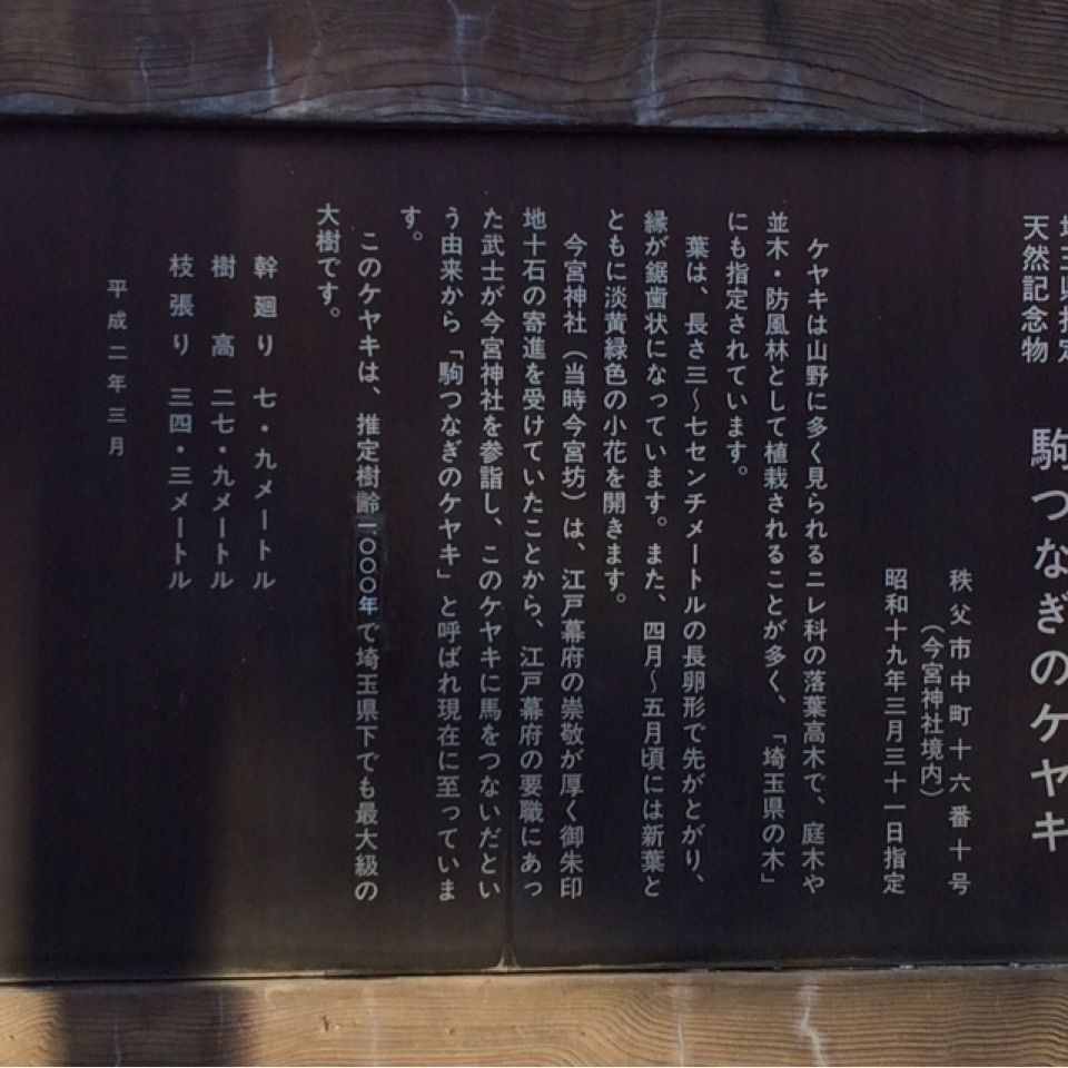 reo0318さんが投稿した駒つなぎのケヤキに関する口コミの画像