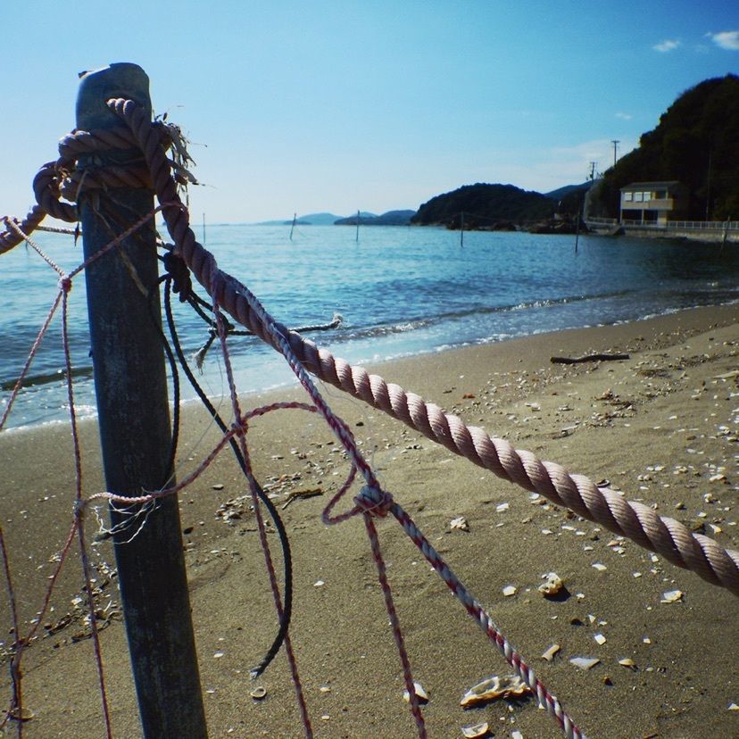 makさんが投稿した新舞子海水浴場に関する口コミの画像