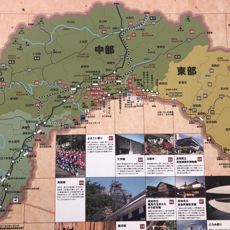 タッキーさんが投稿した高知観光情報発信館とさてらすに関する口コミの画像