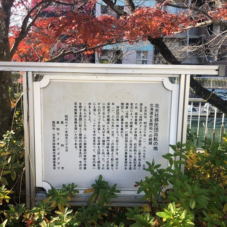 タッキーさんが投稿した桜いろに関する口コミの画像