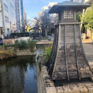 洋ふう食堂 トラとフライパン 3枚目